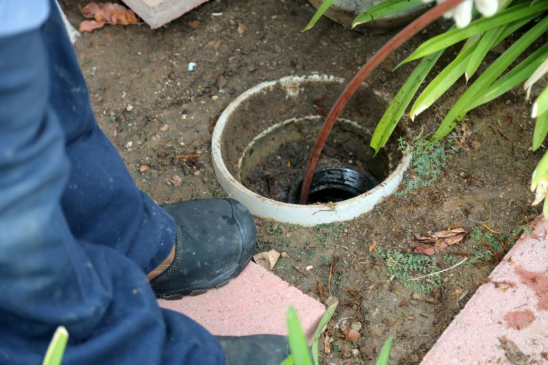 Clog Removal Service