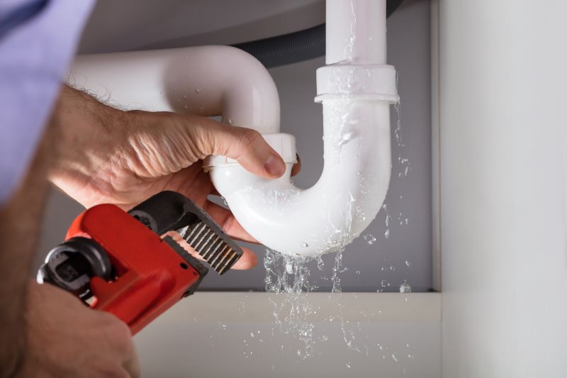 Plumber Fixing a Leak
