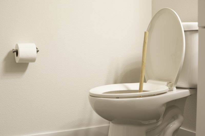Toilet Augering